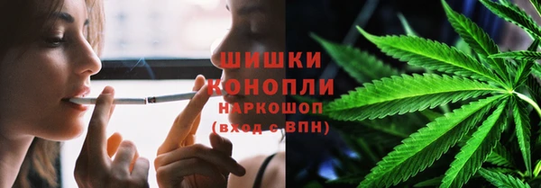 бошки Осташков