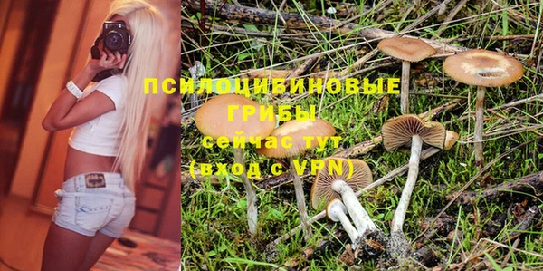 PSILOCYBIN Остров