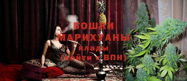 прущие грибы Абаза