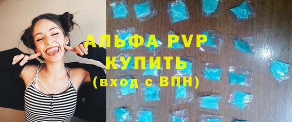 крисы Алексин