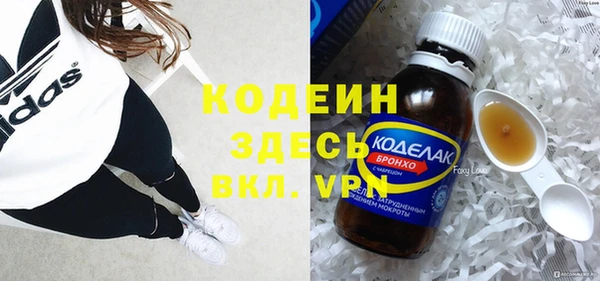 прущие грибы Абаза