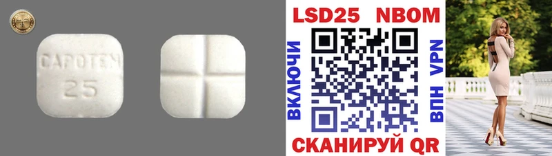 LSD-25 экстази кислота  KRAKEN онион  Полярный 